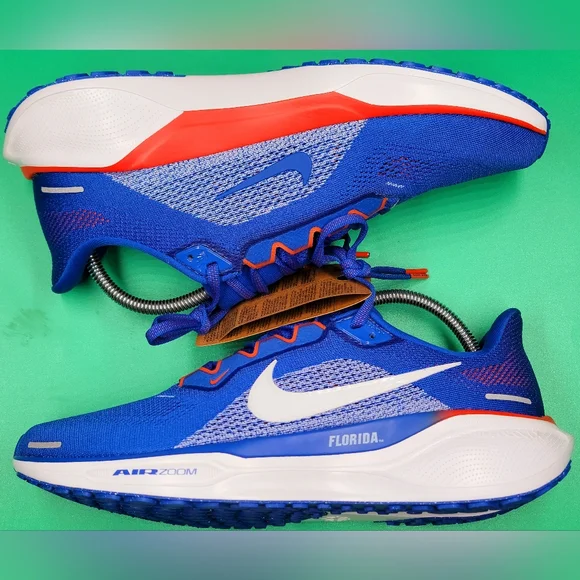 Nike x College Florida Gators Air Zoom Pegasus 41 Running Shoes Sz 10 Men NIB - Picture 2 of 8